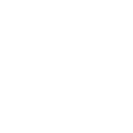 BAS/GST Lodgment