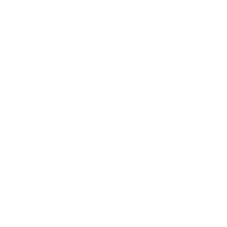 BAS/GST Lodgment