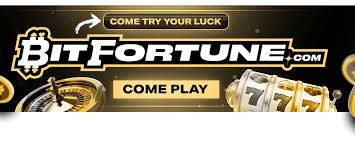 Discover Bitfortune The Ultimate Destination for Live Casino Fans